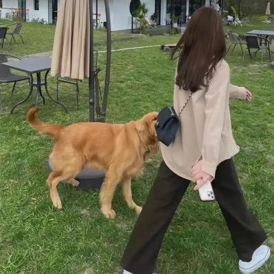 米德尔马契